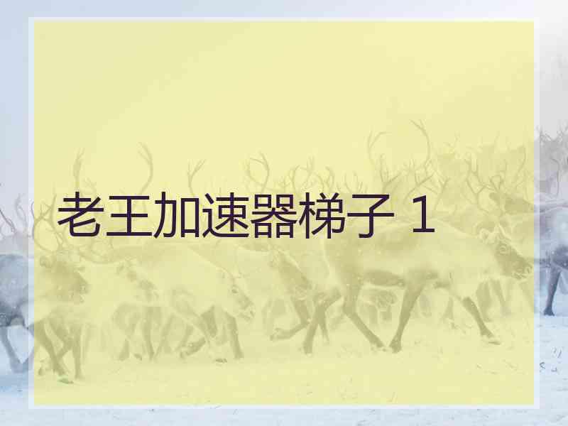 老王加速器梯子 1