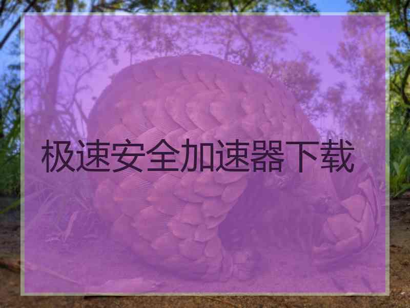 极速安全加速器下载