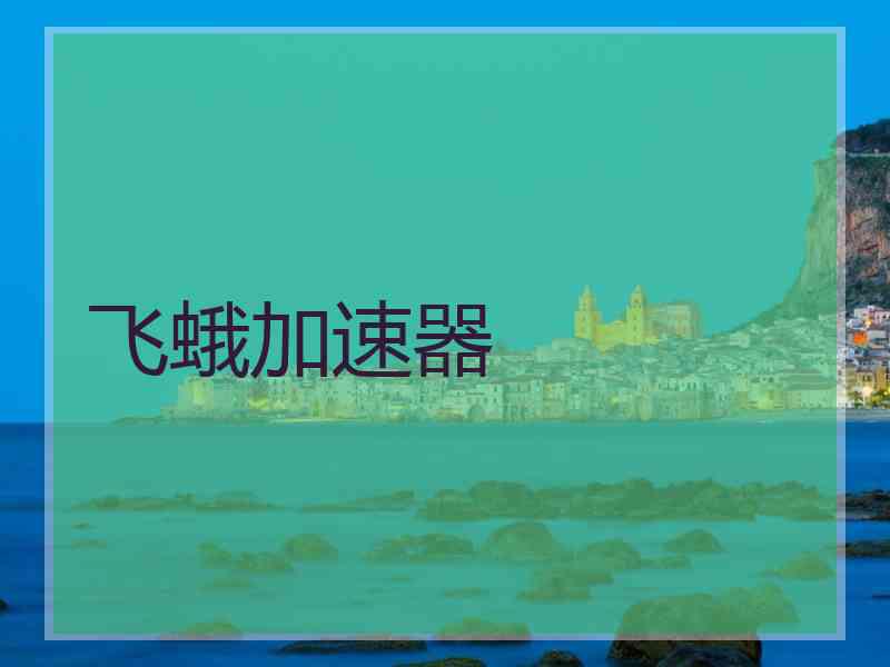飞蛾加速器