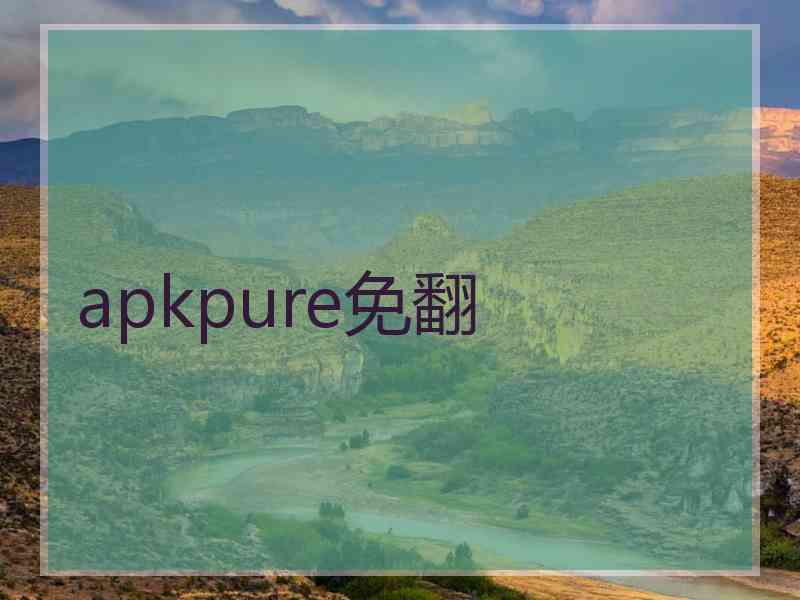 apkpure免翻