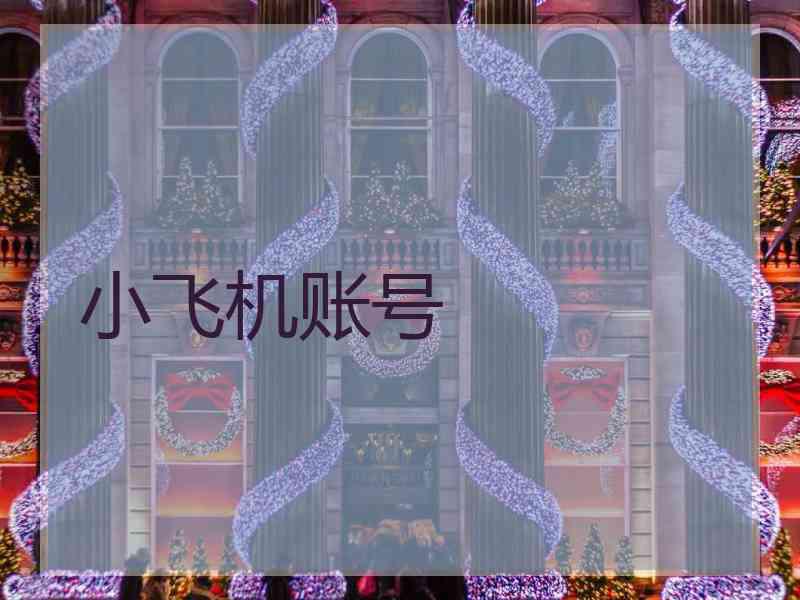 小飞机账号