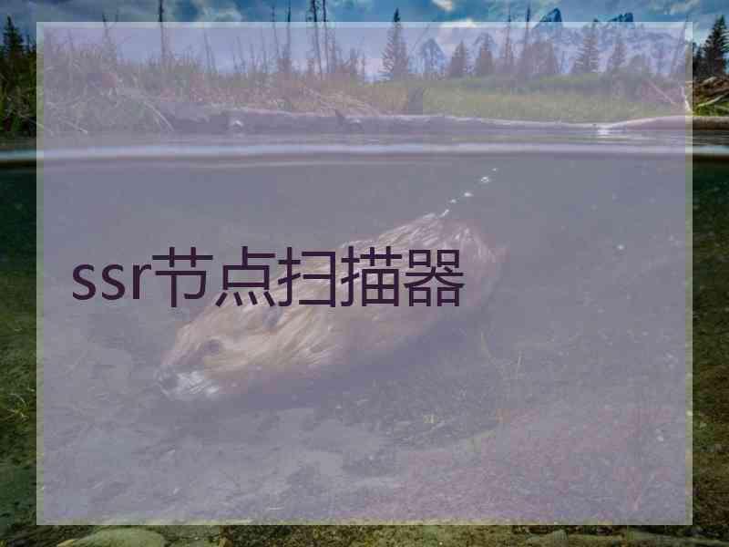 ssr节点扫描器