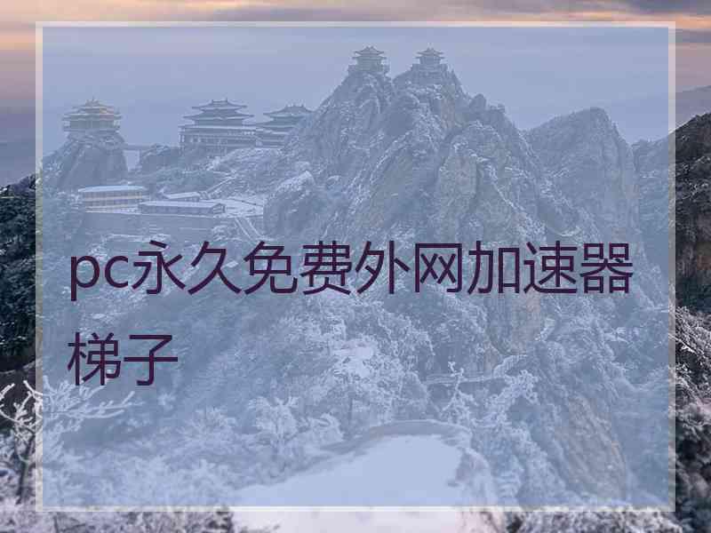 pc永久免费外网加速器梯子