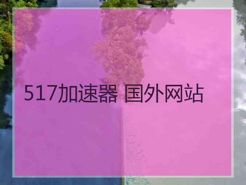 517加速器 国外网站