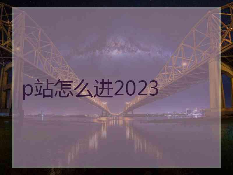 p站怎么进2023