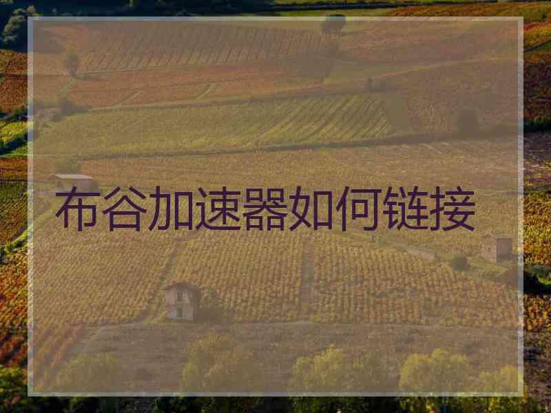 布谷加速器如何链接