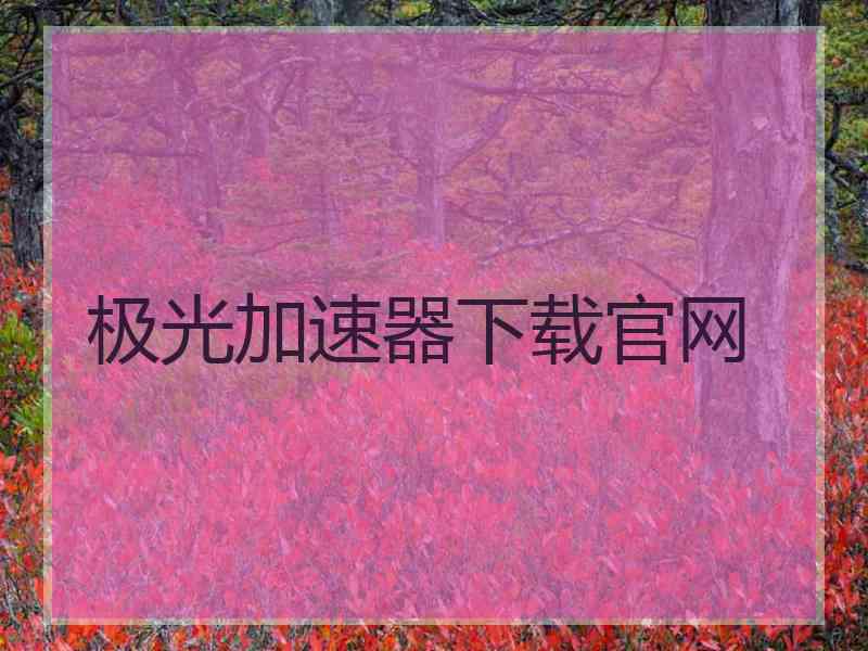 极光加速器下载官网