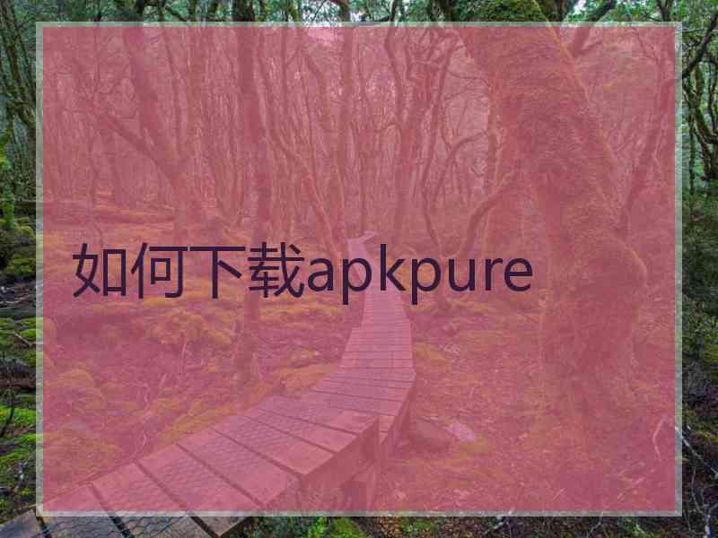 如何下载apkpure