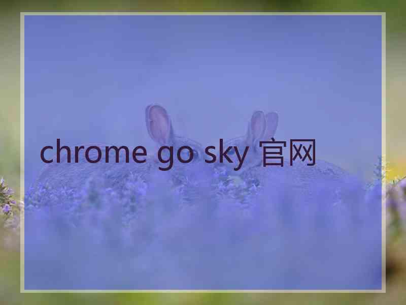 chrome go sky 官网