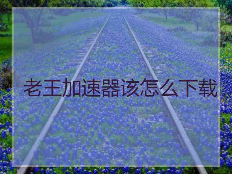 老王加速器该怎么下载