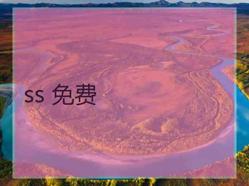 ss 免费