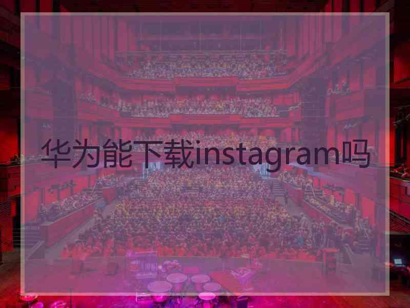 华为能下载instagram吗