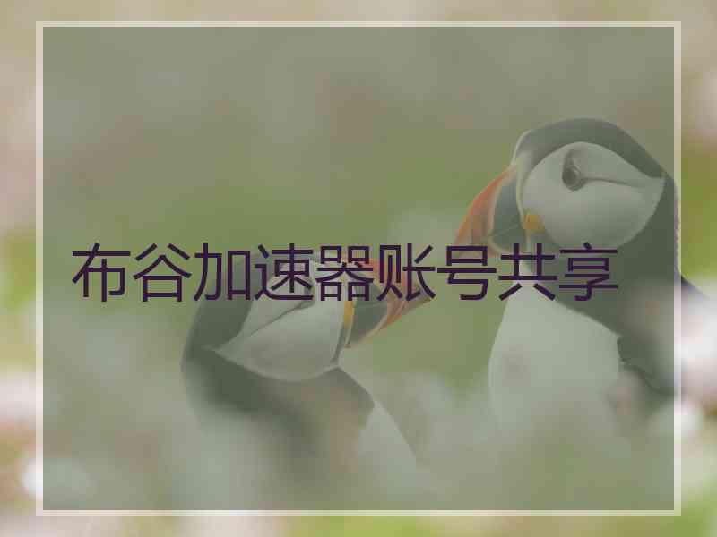 布谷加速器账号共享