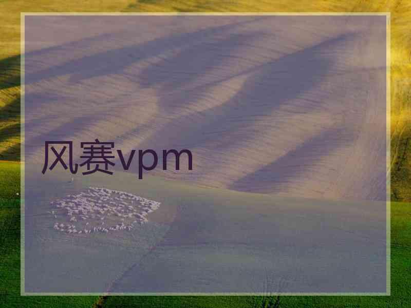 风赛vpm