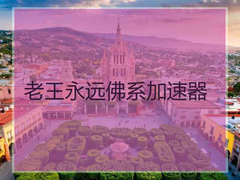 老王永远佛系加速器