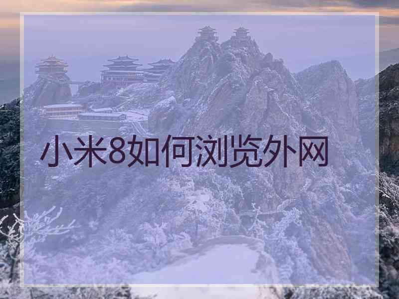 小米8如何浏览外网