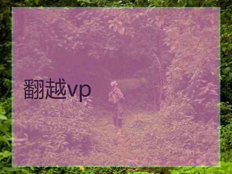 翻越vp