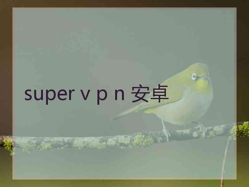 super v p n 安卓