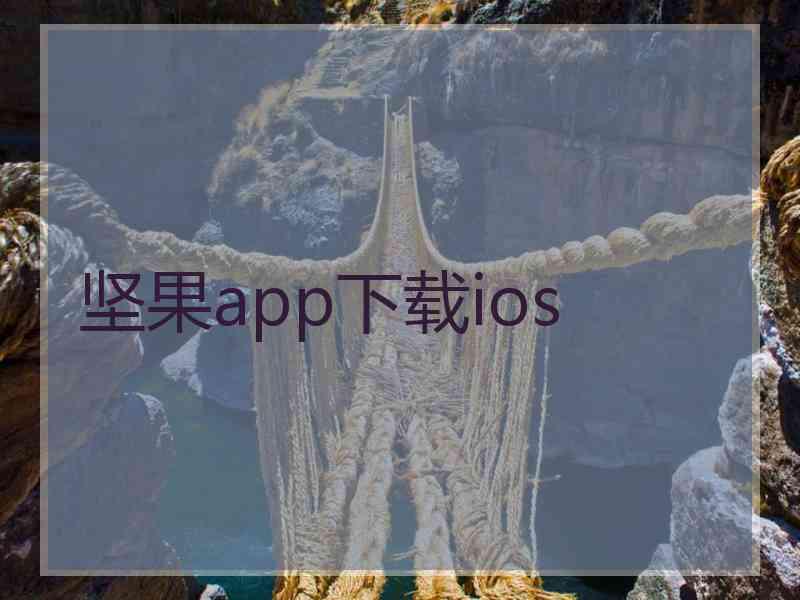 坚果app下载ios