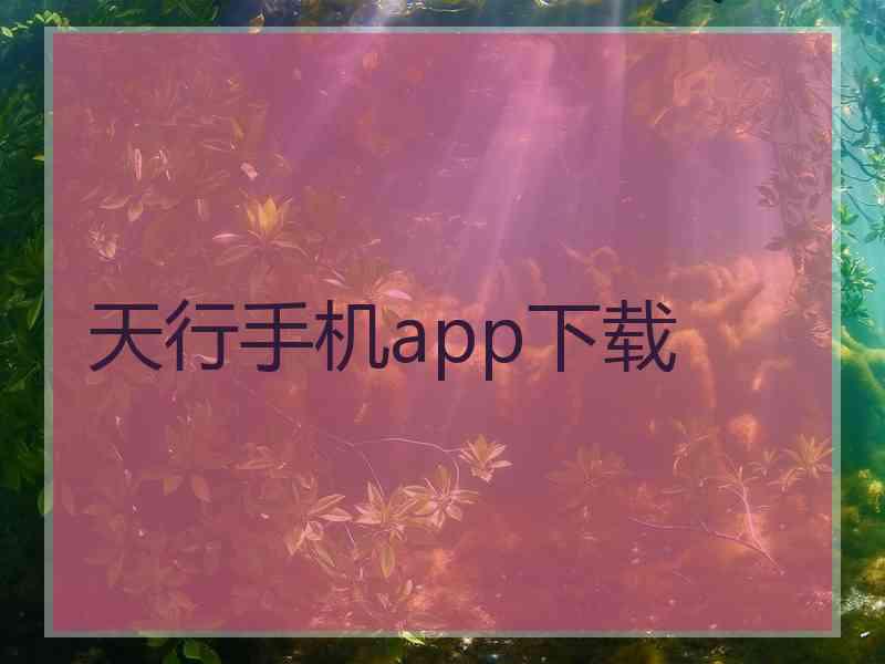 天行手机app下载