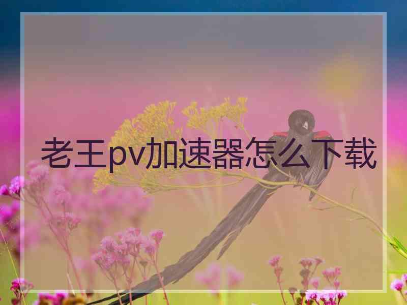 老王pv加速器怎么下载
