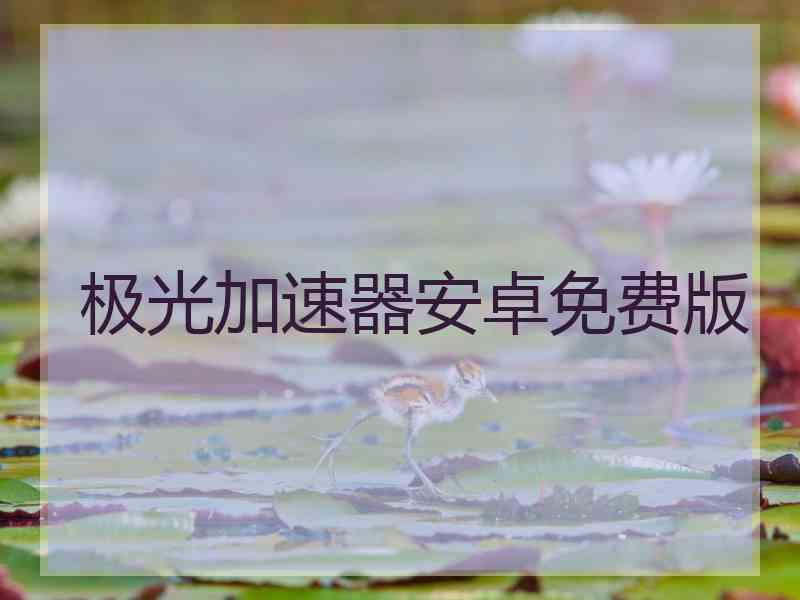 极光加速器安卓免费版