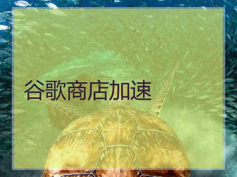 谷歌商店加速