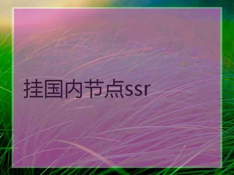 挂国内节点ssr