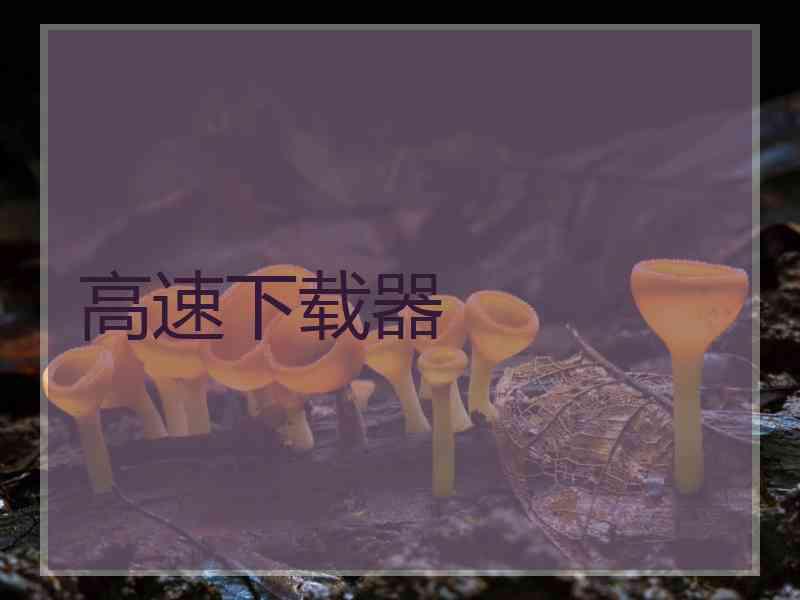 高速下载器
