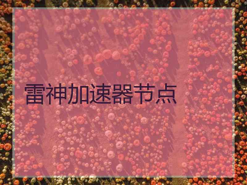 雷神加速器节点