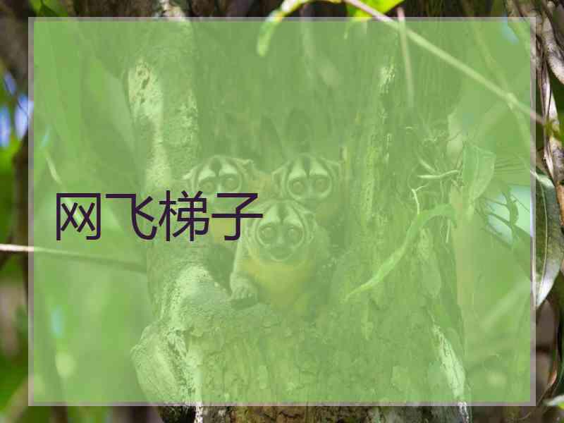 网飞梯子