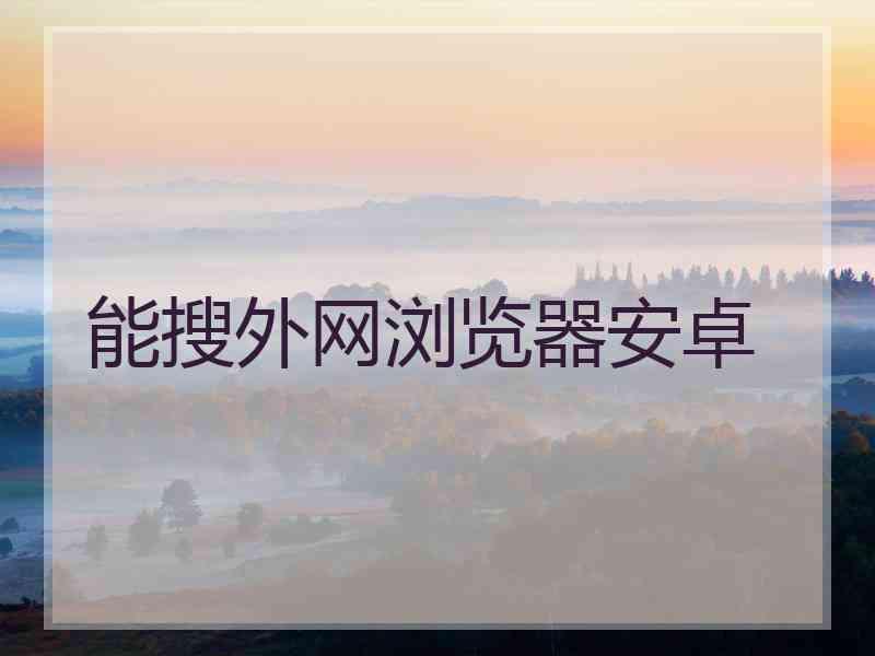 能搜外网浏览器安卓