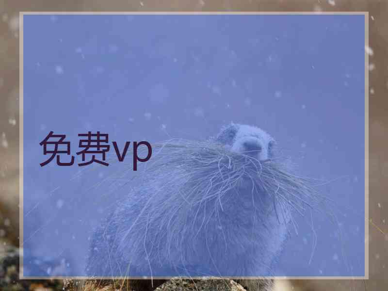免费vp