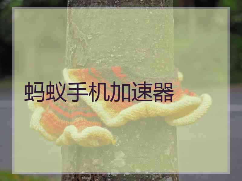 蚂蚁手机加速器