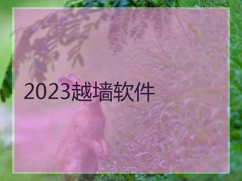 2023越墙软件