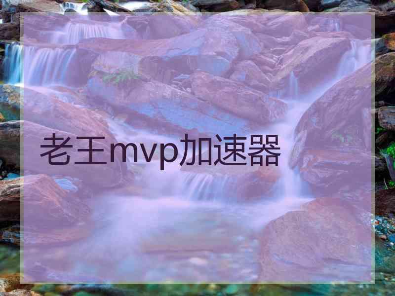 老王mvp加速器