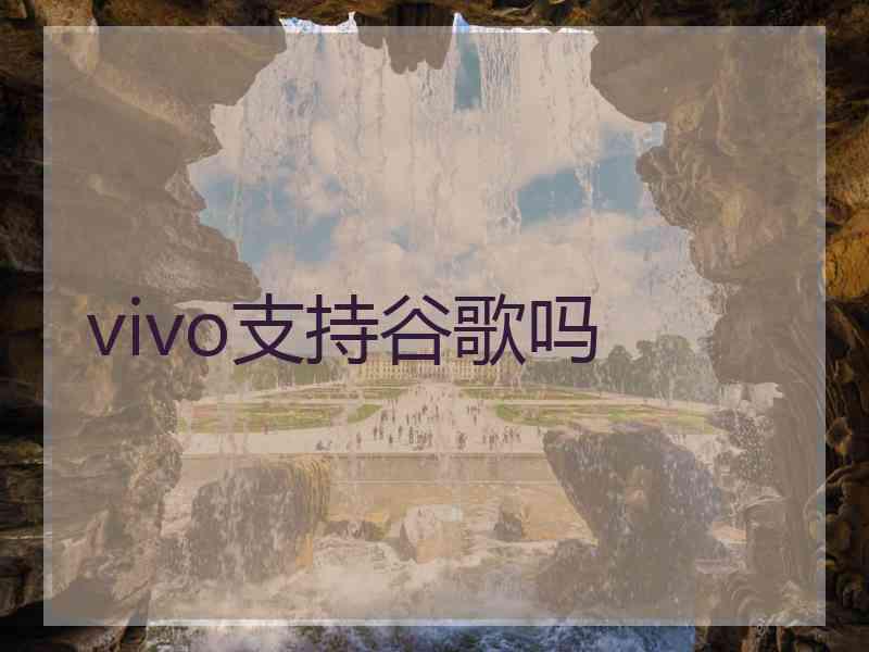 vivo支持谷歌吗