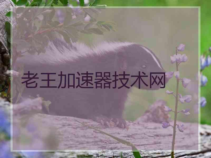 老王加速器技术网