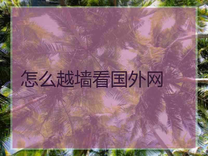 怎么越墙看国外网