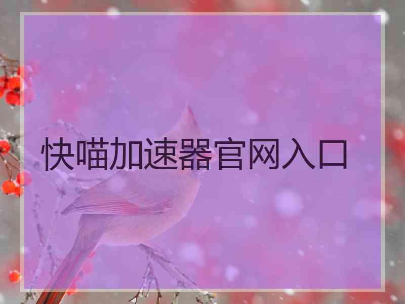 快喵加速器官网入口