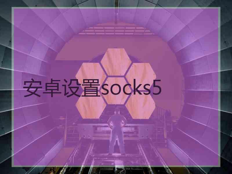 安卓设置socks5