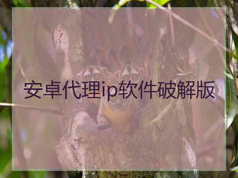 安卓代理ip软件破解版
