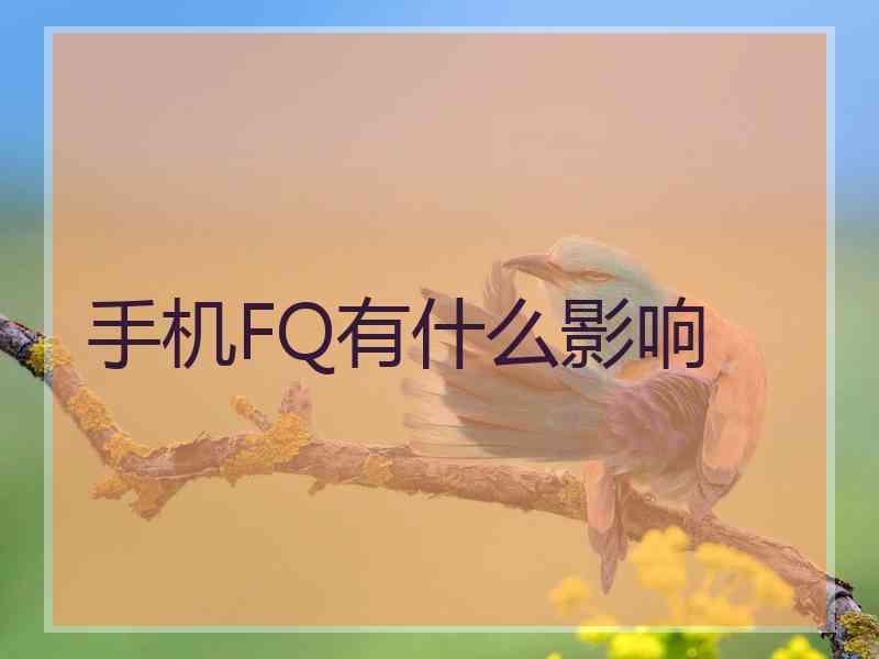 手机FQ有什么影响