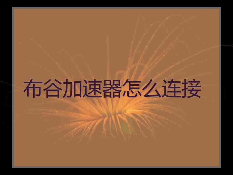 布谷加速器怎么连接