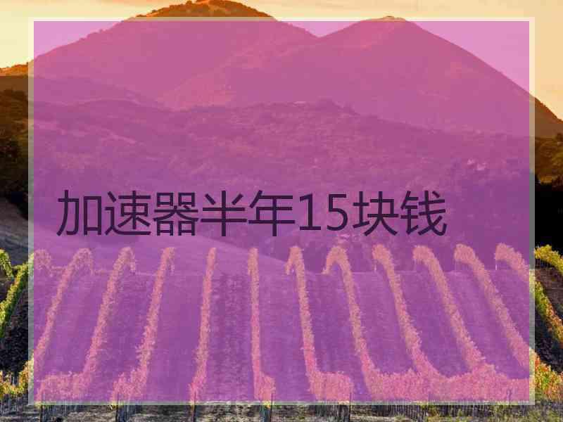 加速器半年15块钱