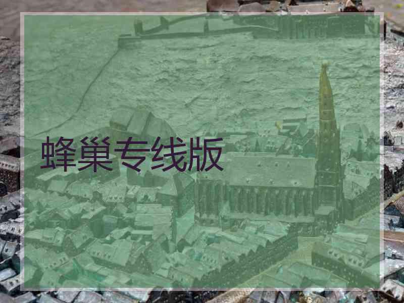 蜂巢专线版