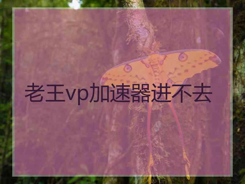老王vp加速器进不去