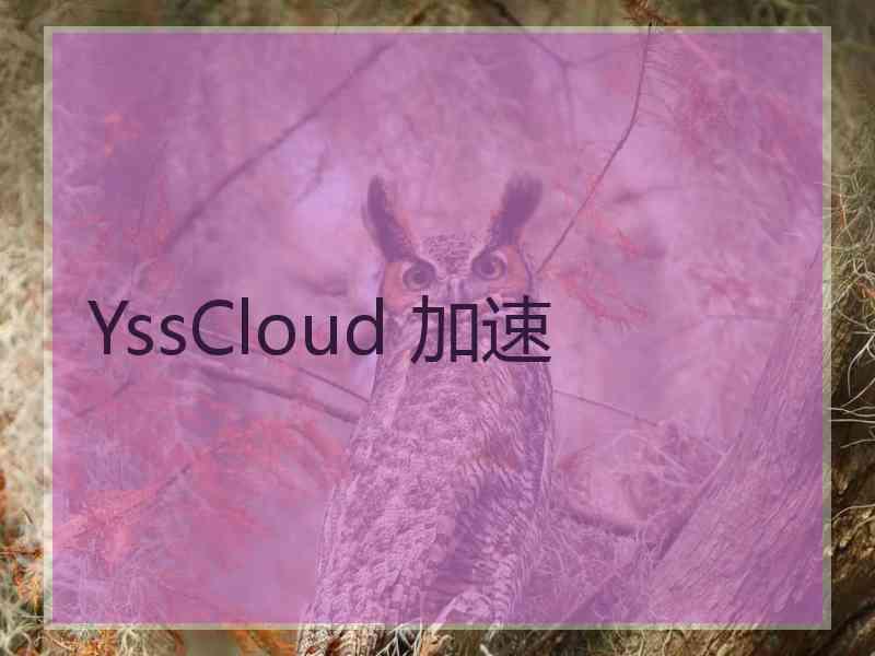 YssCloud 加速
