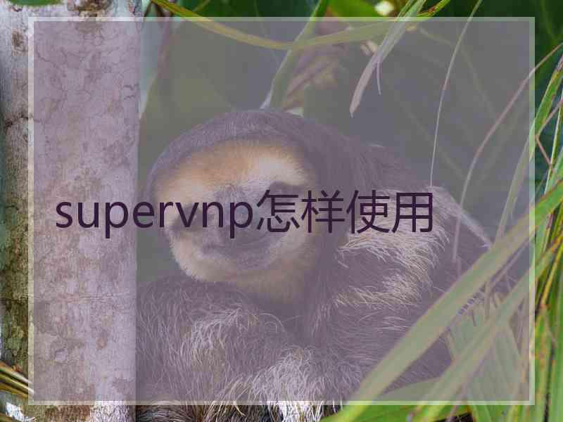 supervnp怎样使用