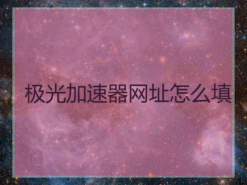 极光加速器网址怎么填